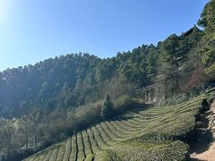 -敬亭山风景名胜区