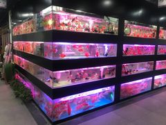 -苏州艺都古玩花鸟市场