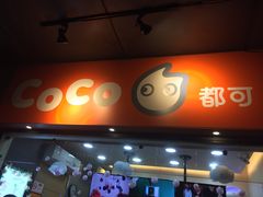 -CoCo都可(骆家庄新店)