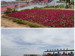 -武清南湖绿博园