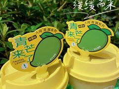-挞柠·手打柠檬茶(花城汇中区旗舰店)