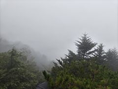 -含鄱口