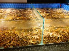 水产区-东海怡品海鲜豆捞(星街坊店)