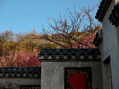 -无锡梅园公园