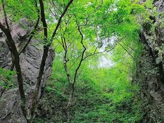 -塔云山