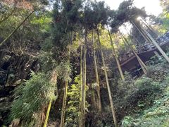 -刘伯温故里景区百丈漈