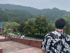 -后柳水乡