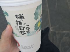 -茶颜悦色(岳麓山顶店)