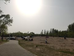 -东郊湿地公园