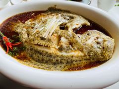 清蒸多宝鱼-香浙汇(望京店)