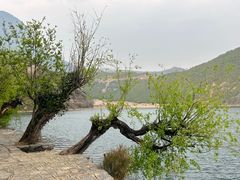-丽江泸沽湖景区-里格半岛