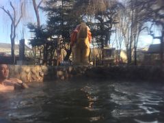 -南宫温泉水世界