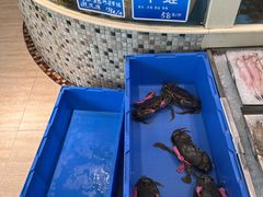 -双井轩(双井店)