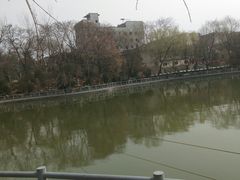 -莲湖公园