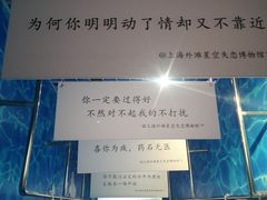 -上海外滩星空失恋减压馆(外滩旗舰馆)