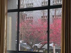 -东南大学(九龙湖校区)