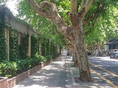 -上海昆虫博物馆