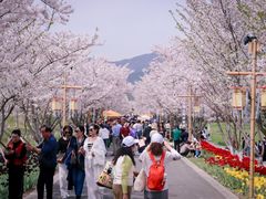 -长田漾湿地公园