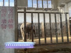 -保定市动物园