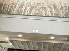 -九道菜有鸡鱼头(石鼓路店)