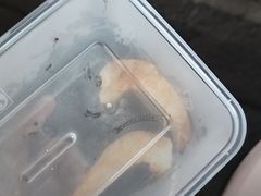 -醉炫音速烧烤·干煸菜(沙河总店)