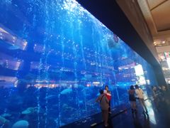 -成都浩海立方海洋公园