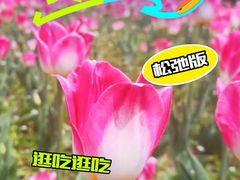 -长春公园(普阳街道)