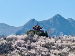 -白水寺森林公园