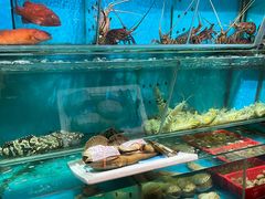 -鲜入围煮花胶鸡海鲜火锅