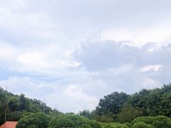 -南沙蒲洲花园