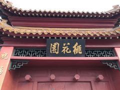 -桃花堤公园