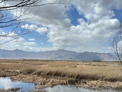 -野鸭湖国家湿地公园
