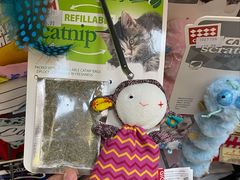-北京观赏动物医院·24小时大型综合·猫专科·异宠专科