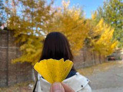 -春晖园度假酒店温泉