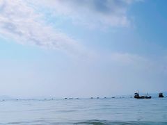 -巽寮湾