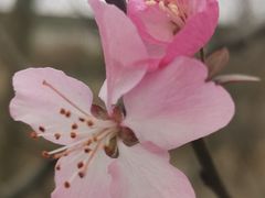 -桤木河湿地公园