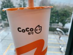 鲜芋青稞牛奶-CoCo都可(大润发中原店)