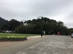 -广州市石门国家森林公园