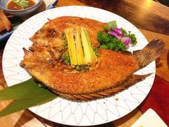 -紫滇源云南生态菜(丹凤街店)