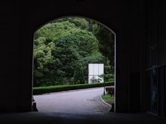 -平湖九龙山旅游度假区