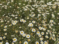 -漩门湾国家湿地公园