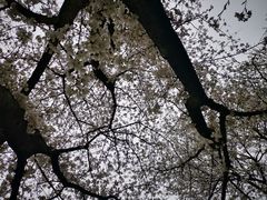 -杭州植物园