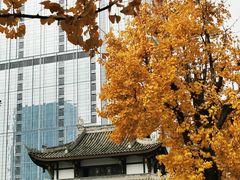 -古大圣慈寺