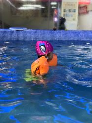 -子木乐园婴儿游泳馆(水晶港店)