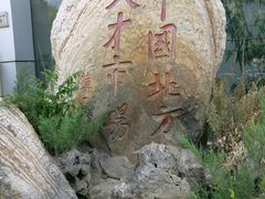 -中国北方人才市场