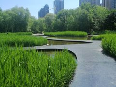 -长白岛森林公园