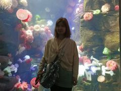 -瑞普利水族馆