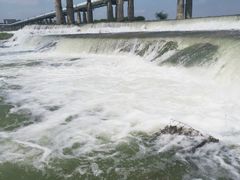 -绿堤公园