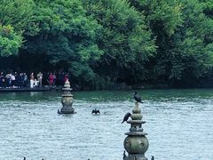 -西湖外事游船(湖滨二公园外事游船码头)