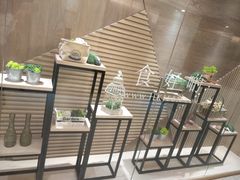 -楼上(尖沙咀店)